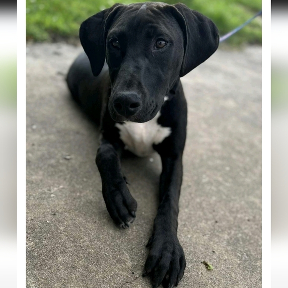 Meet your Posher, Megan! - Picture 1 of 7